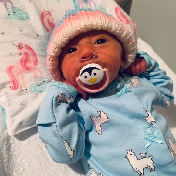 Meet your Posher, Tessa - Picture 1 of 1